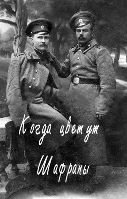 Когда цветут Шафраны