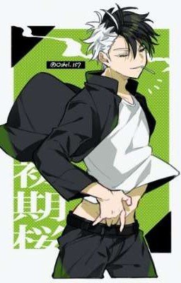 Цветущие ветви вишни.