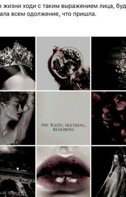 Цитаты и афоризмы