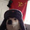 pavel-communist