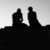 sha-shnf