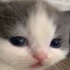 user08923040