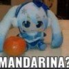 user53948534