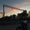 alsbf66