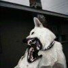 rimafox