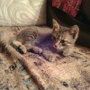 alina20041