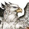 goldgryphon