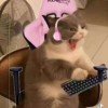 user15366979
