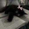 nika-ymi