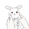 rabbitt1