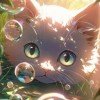 fuyumi-rickhart