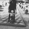 victoriakosmos