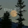 elina-braid