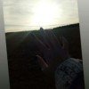 anna233546
