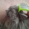 user12110740
