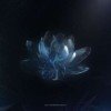 uanai-ii