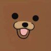 user81205182