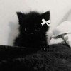 milhiy