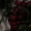 svet-lana-5748