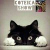 koteikayt