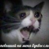alin-chik