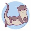 hudro-otter
