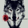lindywolf