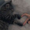 myrrr-01
