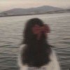 angelzihh