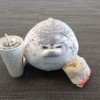 user29050754