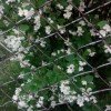 user43913005
