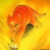 brookenstripe