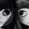 elya1701