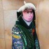imamiragefan