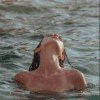 erie-ustim
