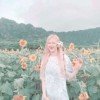 sunflowerlipa