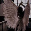 demon-55