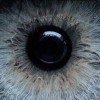 my-ocean-is-in-eyes