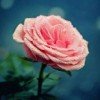 rebecca381414