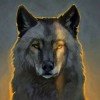 wolfciti
