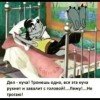 ksuza334