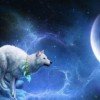 wolf2006