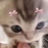 qwqulixxqwq