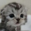 marimo8236