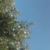 wwwhtp1