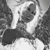 dpxjcjudhd-0-00303