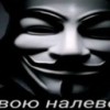 n1kto371