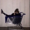 amandatomlins0n