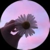 eryl17-5