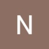 nalsur